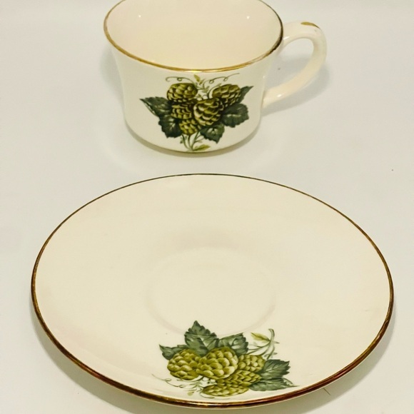 Vintage Hops Teacup & Saucer Botanical Gold Rim Royal Worcester Hop Mathon Green - Picture 2 of 7